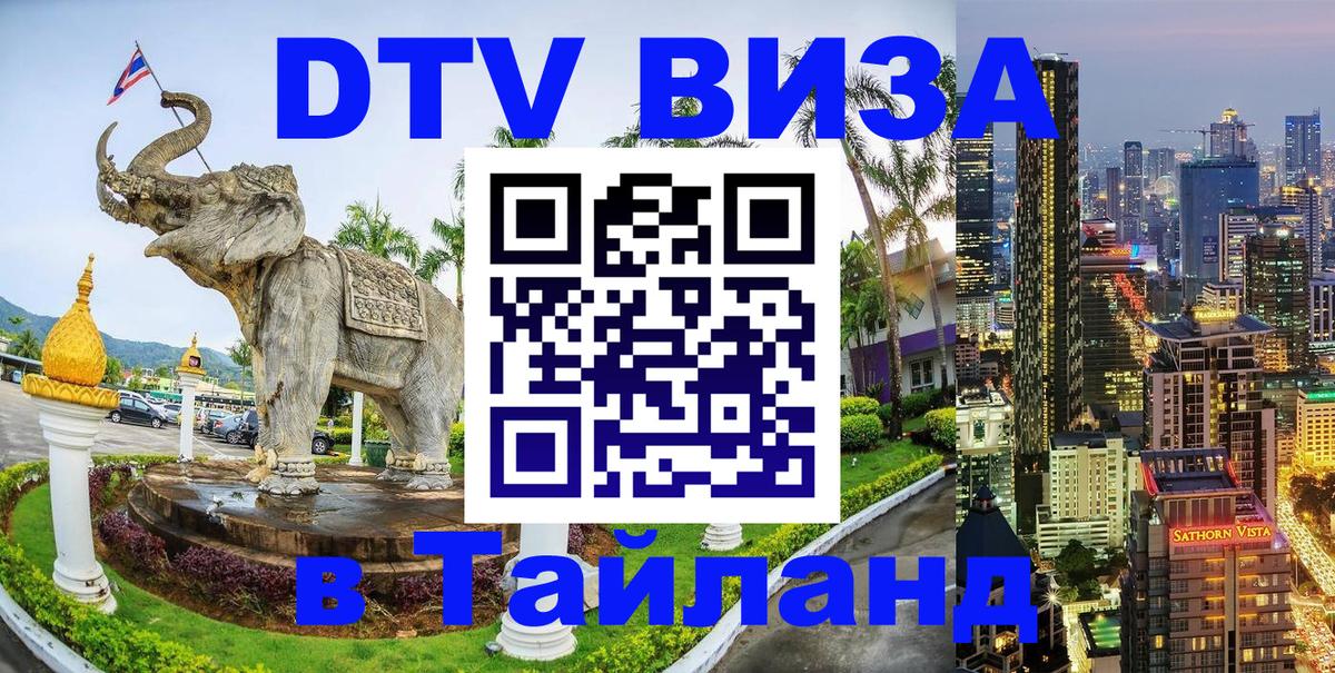 Сколько стоит DTV виза — актуальные цены, оформление даже без документов - Норильск 